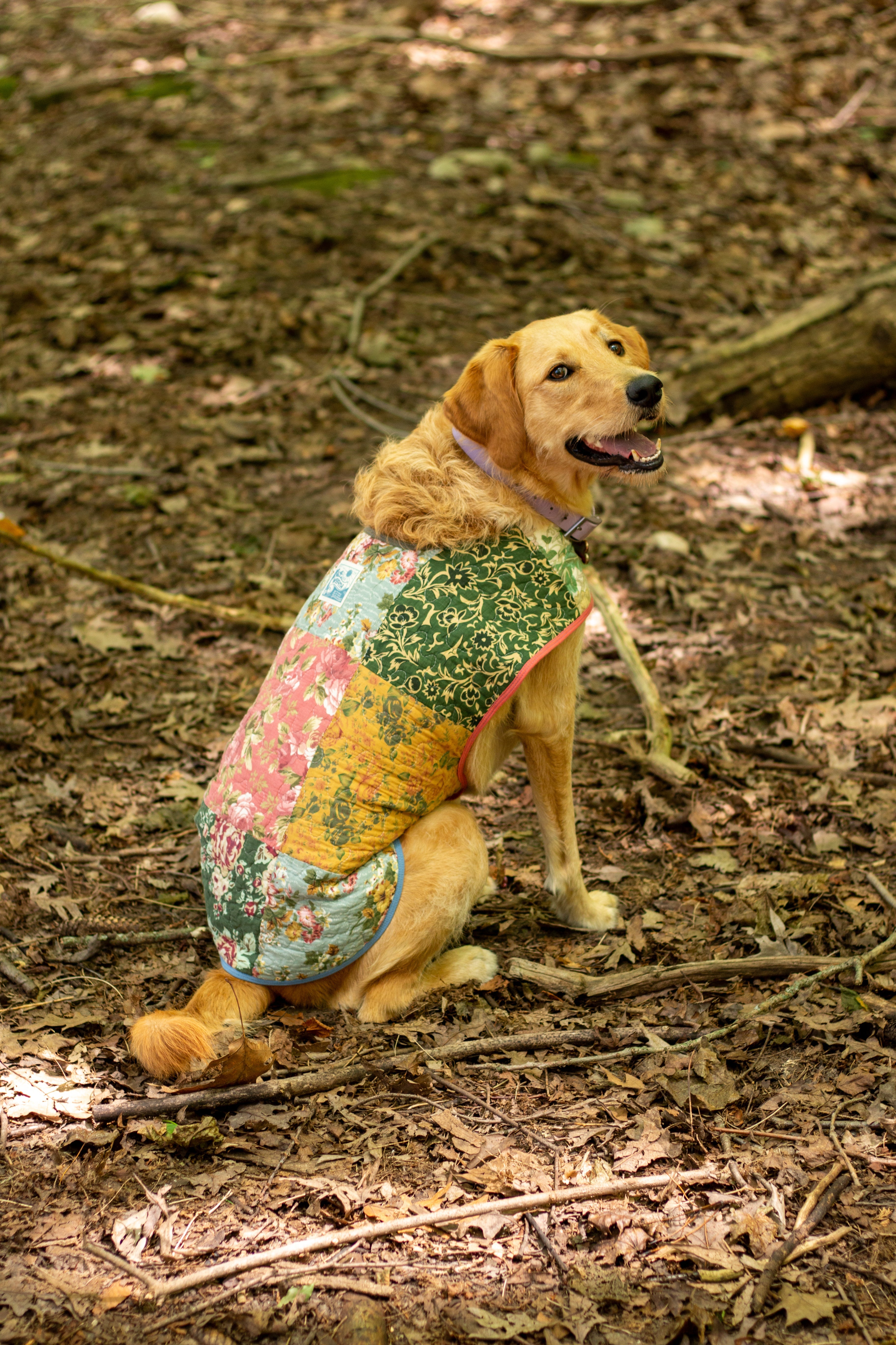 Pup Cocoon - S